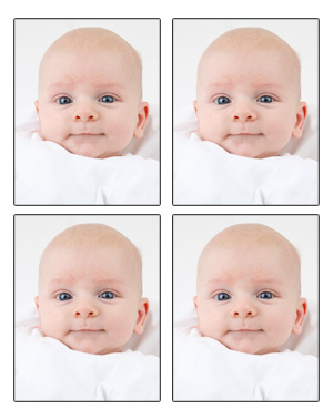Baby Passport Photos