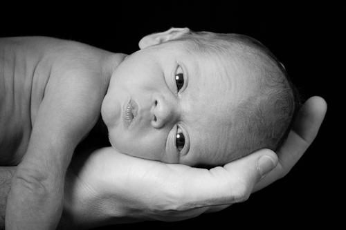 Berkhamsted Newborn Portrait
